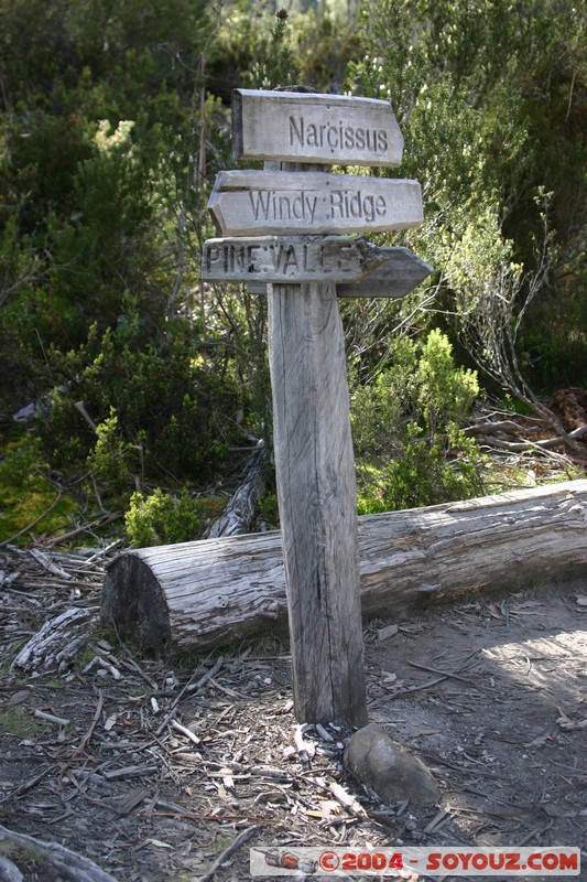 Overland Track - Pine Valley track
