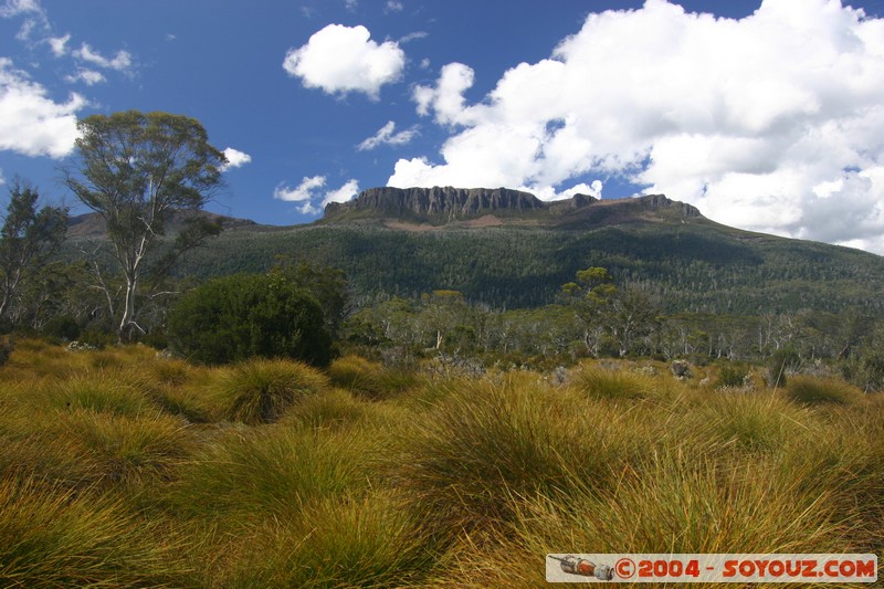 Overland Track
