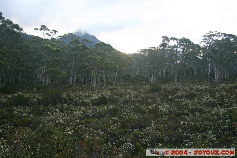 Overland Track - Mount Byron
