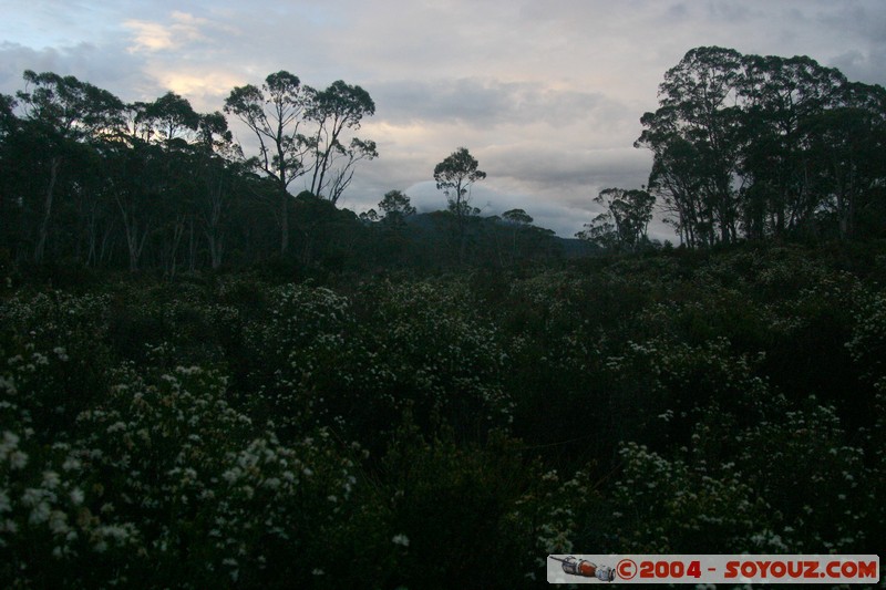 Overland Track - Marion Creek
