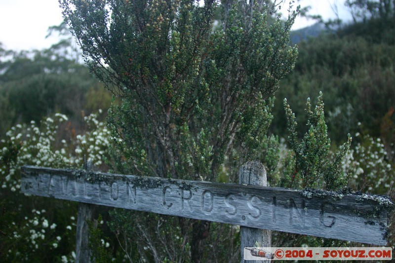 Overland Track - Marion Creek
