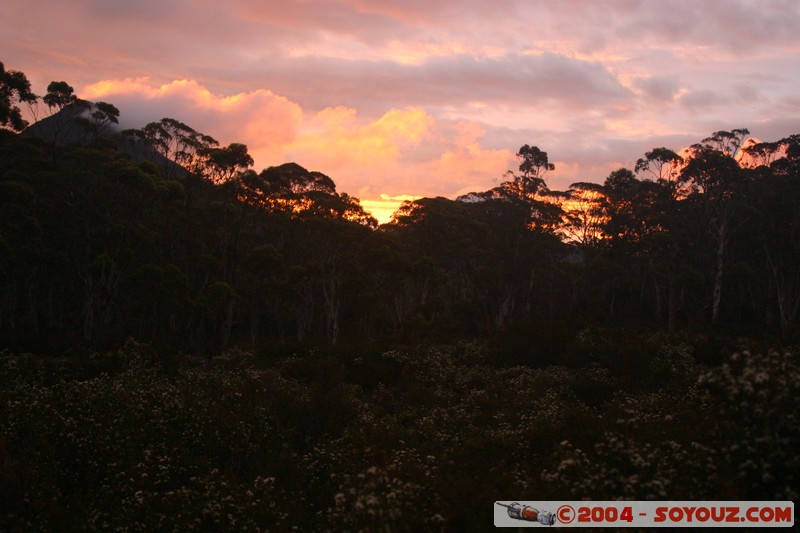Overland Track - Marion Creek at sunset
Mots-clés: sunset