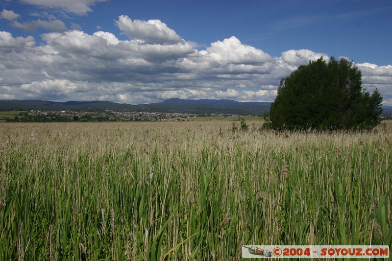 Tamar Island Wetlands park
