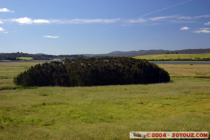 Tamar Island Wetlands park
