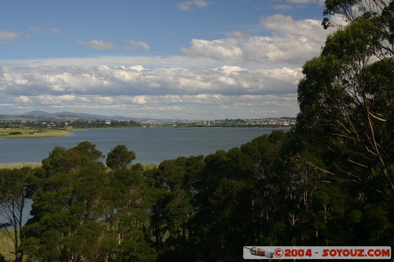 Tamar Island Wetlands park
