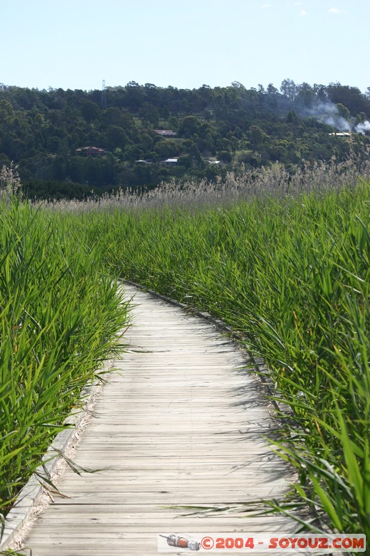 Tamar Island Wetlands park
