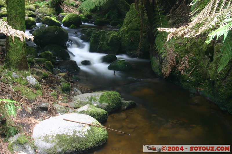 North East Trail - St Colombia Falls
Mots-clés: cascade