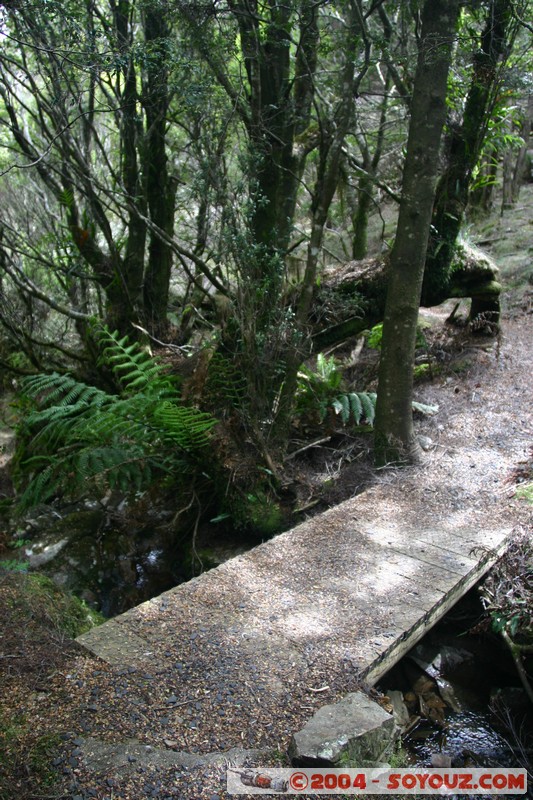 North East Trail - Ralphs Falls
