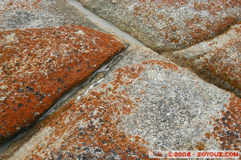 North East Trail - Bay of Fires
