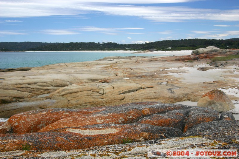 North East Trail - Bay of Fires
