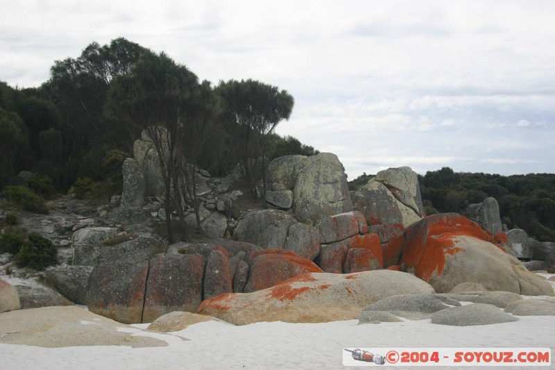 North East Trail - Bay of Fires
