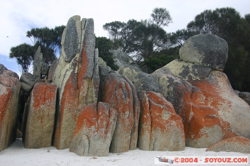 North East Trail - Bay of Fires
