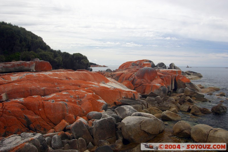 North East Trail - Bay of Fires
