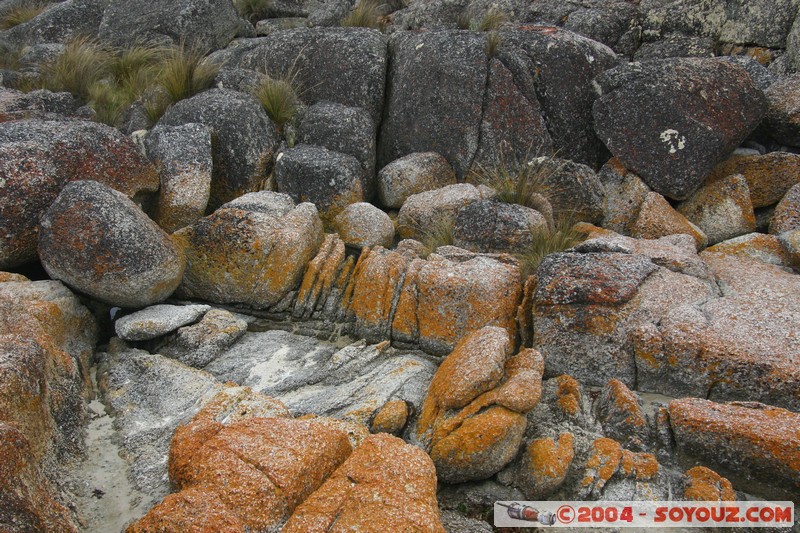 North East Trail - Bay of Fires
