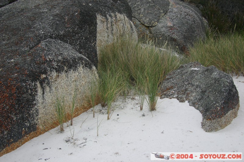 North East Trail - Bay of Fires
