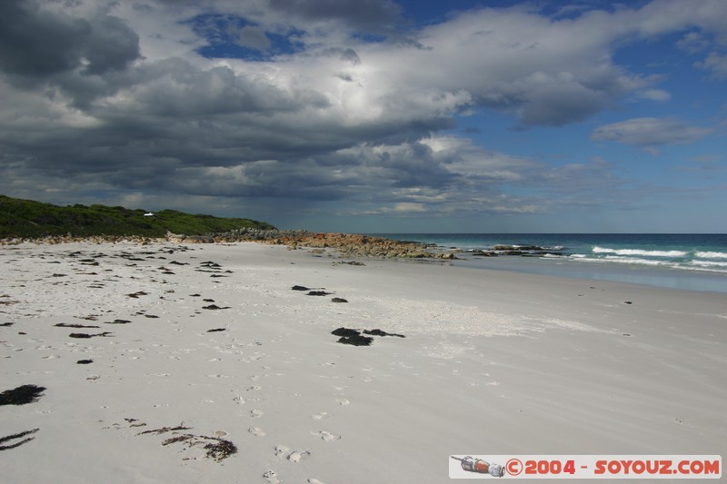 North East Trail - Maclean bay
Mots-clés: plage