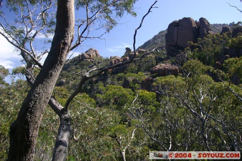 Freycinet National Park - Mt Amos
