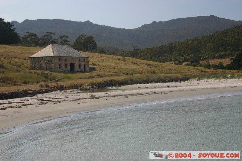 Maria Island - Commissariat Store (Visitor centre)
