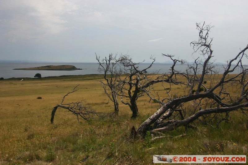 Maria Island
