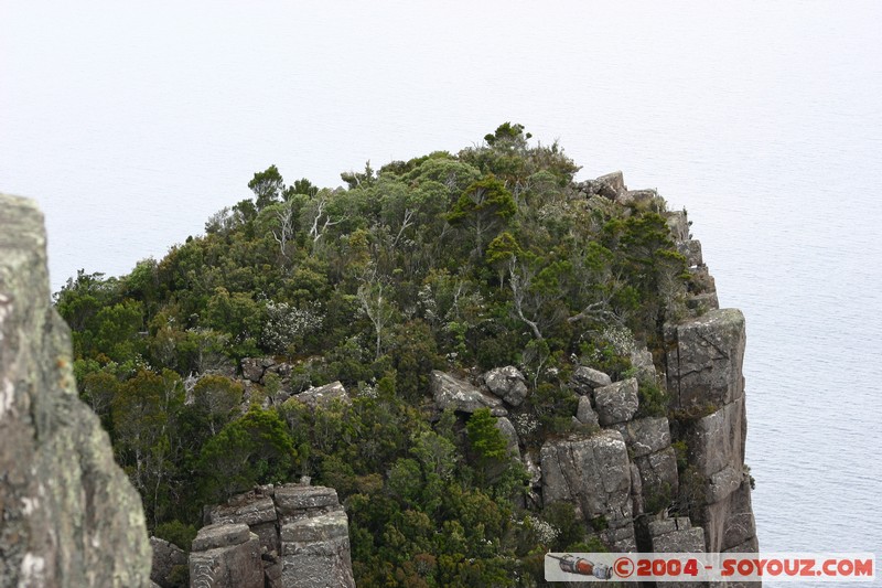 Maria Island - Bishop and Clerk
