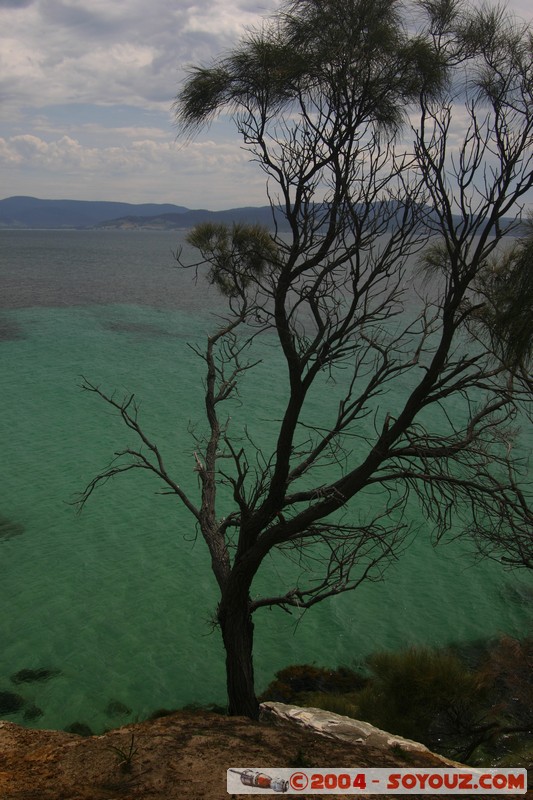 Maria Island - Painted Cliffs
