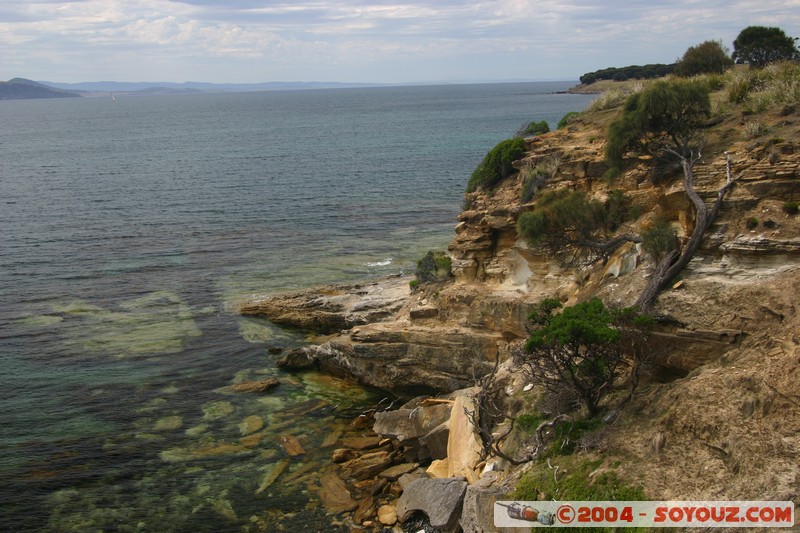 Maria Island - Painted Cliffs
