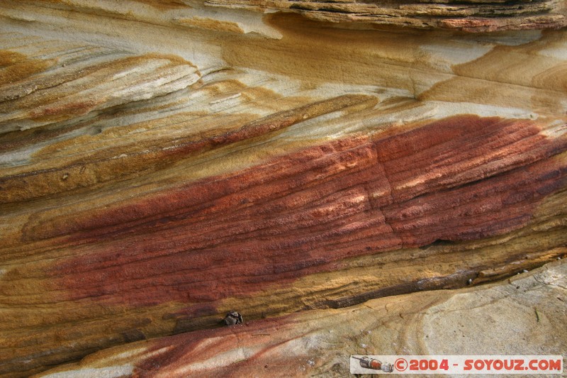 Maria Island - Painted Cliffs
