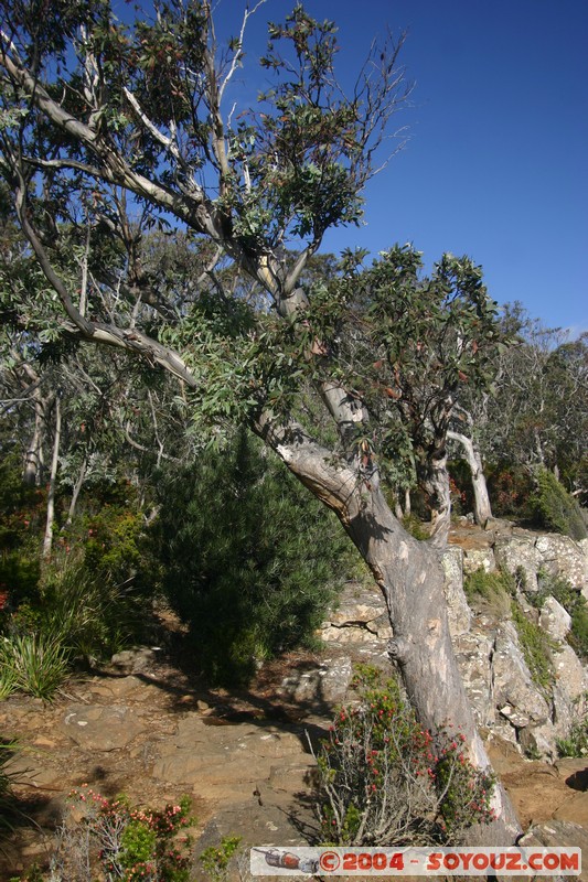 Tasman Peninsula - Cap Raoul
