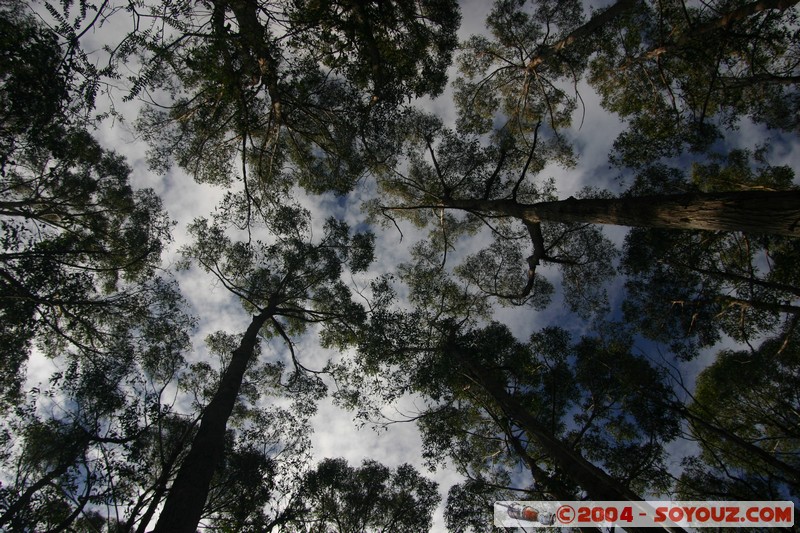 Tasman Peninsula - Stormlea
