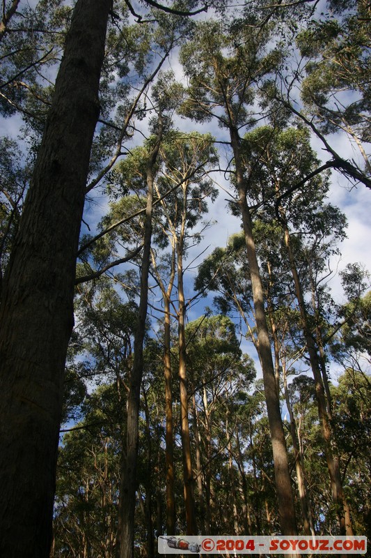 Tasman Peninsula - Stormlea
