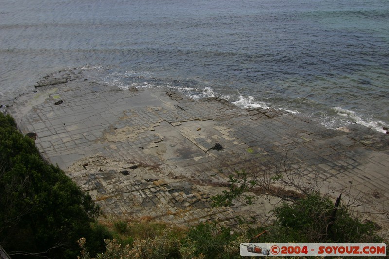 Tasman Peninsula - Tessellated Pavment
