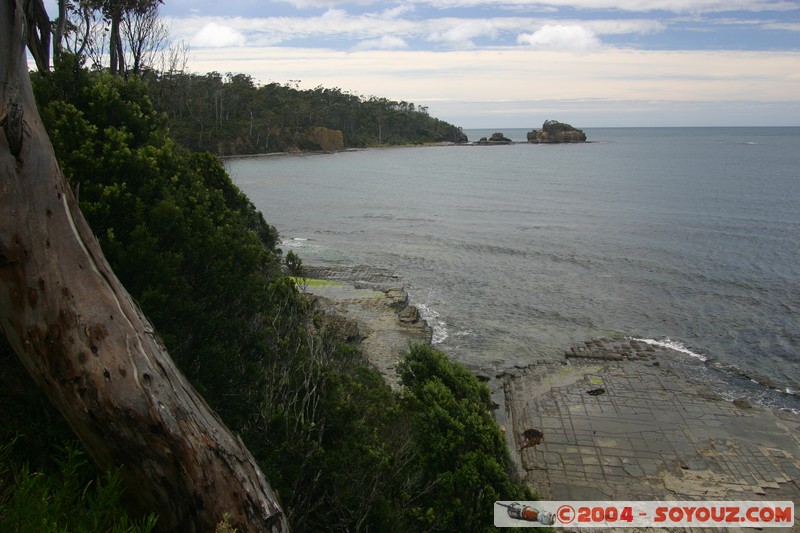 Tasman Peninsula - Tessellated Pavment
