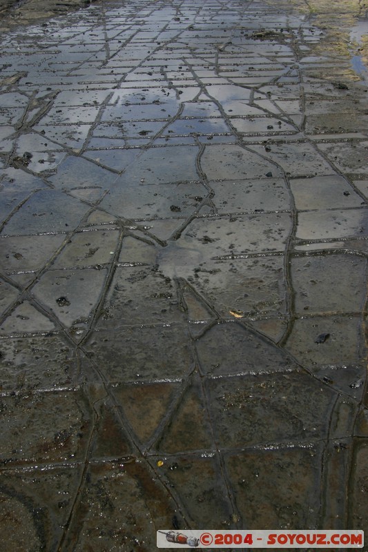 Tasman Peninsula - Tessellated Pavment
