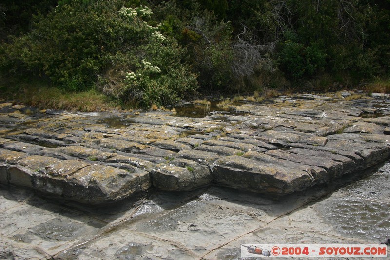 Tasman Peninsula - Tessellated Pavment
