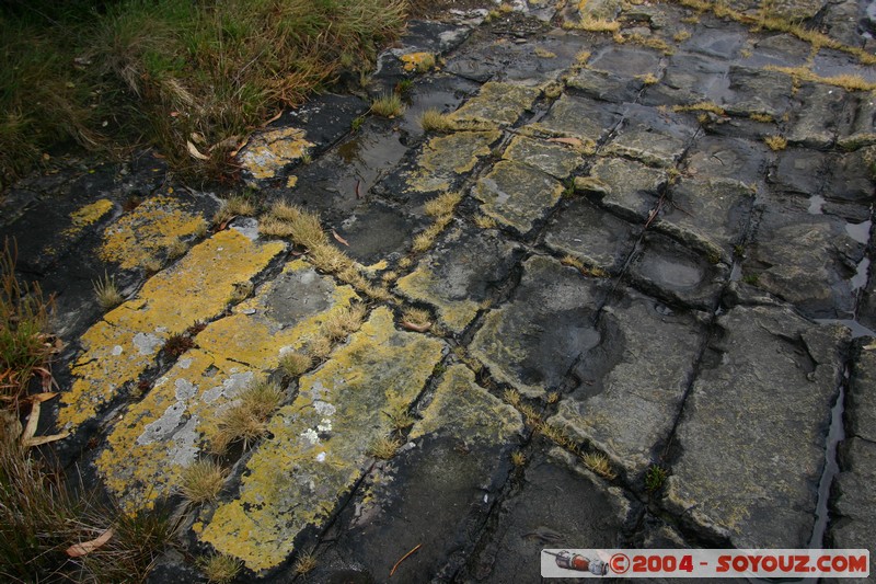 Tasman Peninsula - Tessellated Pavment
