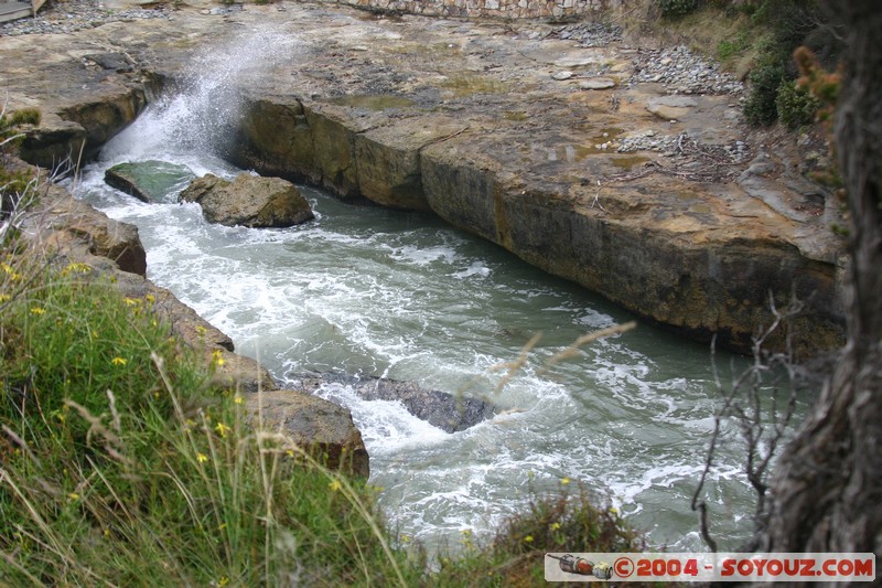 Tasman Peninsula - Tasman Blowhole
