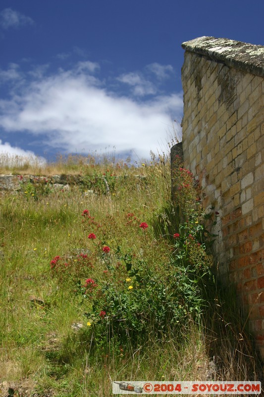 Port Arthur
Mots-clés: Ruines