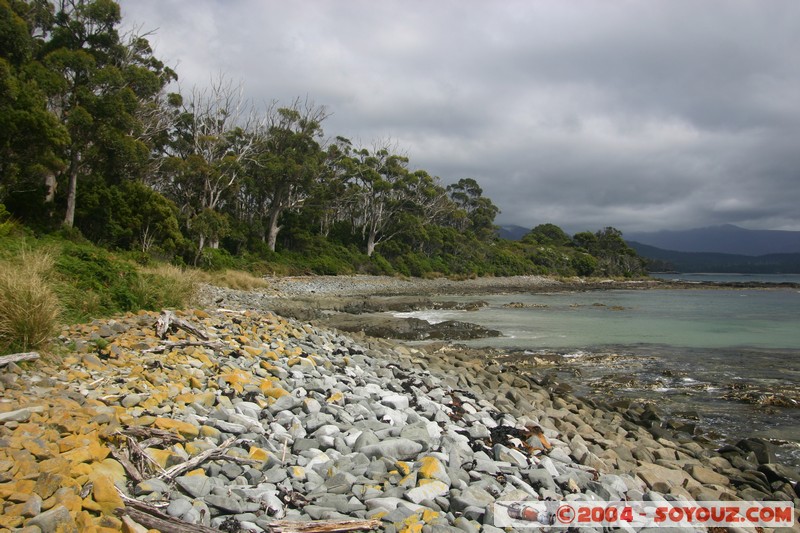 Fishers Point Walk - Planters Beach
Mots-clés: plage