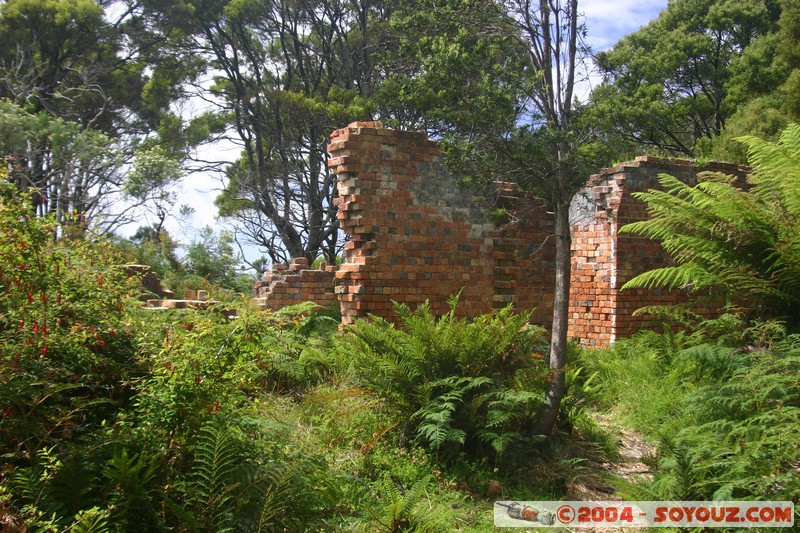 Fishers Point Walk - Pilot Station
