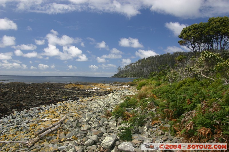 Fishers Point Walk - Close to Australia southern most point
Mots-clés: plage