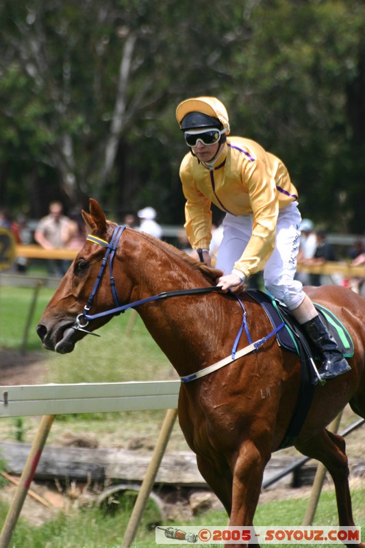 Hanging Rock - New Year Day Races
Mots-clés: sport animals cheval