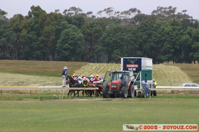 Hanging Rock - New Year Day Races
Mots-clés: sport animals cheval