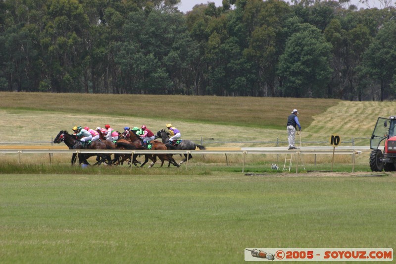 Hanging Rock - New Year Day Races
Mots-clés: sport animals cheval