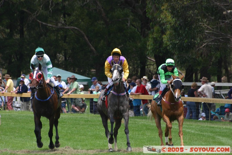 Hanging Rock - New Year Day Races
Mots-clés: sport animals cheval