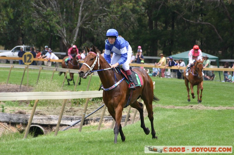 Hanging Rock - New Year Day Races
Mots-clés: sport animals cheval