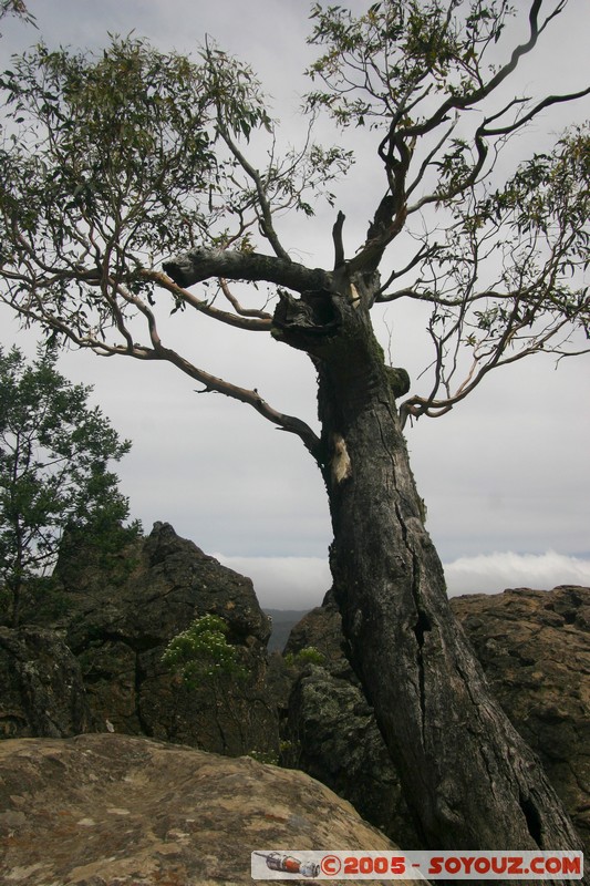 Hanging Rock
