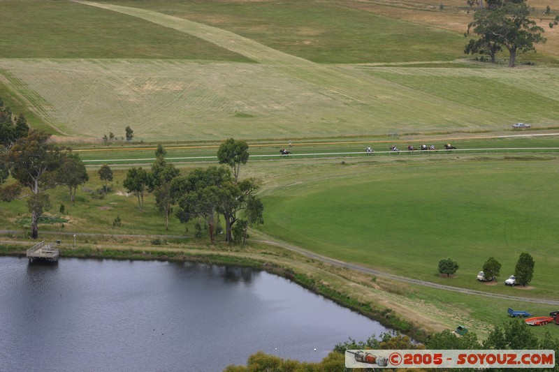 Hanging Rock - New Year Day Races
Mots-clés: sport animals cheval