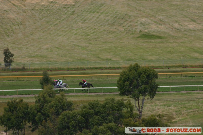 Hanging Rock - New Year Day Races
Mots-clés: sport animals cheval