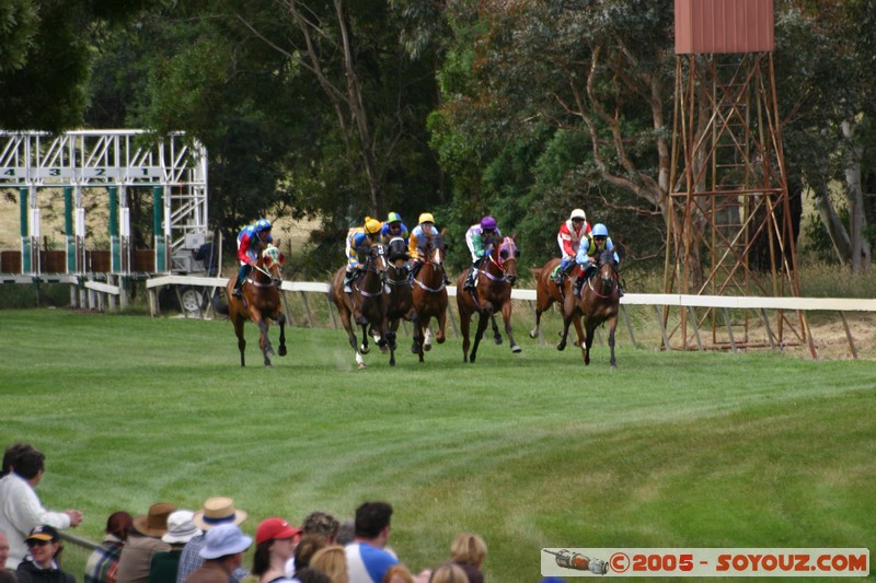 Hanging Rock - New Year Day Races
Mots-clés: sport animals cheval