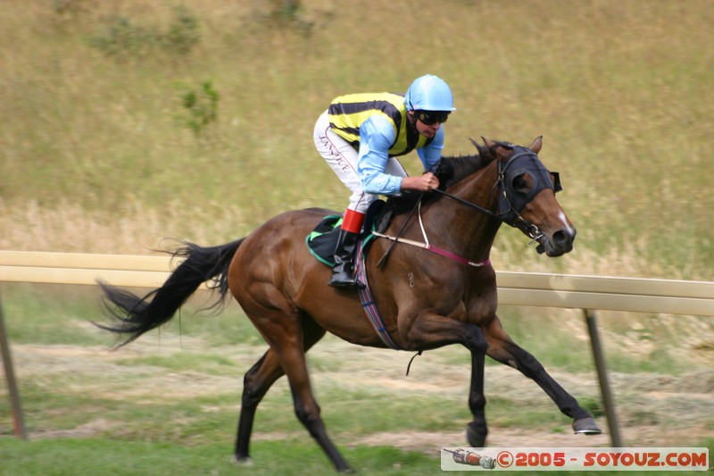 Hanging Rock - New Year Day Races
Mots-clés: sport animals cheval